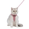 Voyager Step-In Air Cat Leash Harness Set - All Weather Mesh, Step In Vest Harness for Small and Large Cats by Best Pet Supplies - 4 of 4