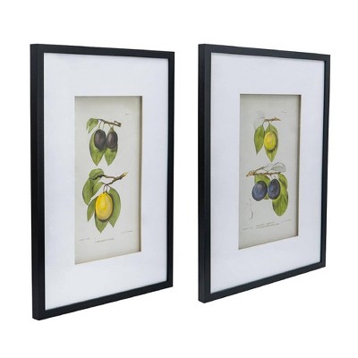 Set of 2 Black Framed Botanical Fruit Wall Art