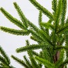 Nearly Natural 22" Artificial Real Touch Norfolk Island Pine in White Decorative Planter with Natural Look - 2 of 4