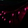 Novelty Lights 50 Feet 100 Bulbs Incandescent Mini Lights, Black Wire with 6" Spacing, UL Listed for Indoor/Outdoor Use, Connectable - 3 of 4