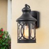 C Cattleya 1-Light Matte Black Outdoor Wall Sconce with Seeded Glass Shade - 2 of 4
