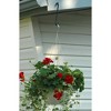 Hookery S-Hook Extension with 1" Opening for Feeders, Planters, or Chimes – Outdoor Use, Supports up to 25lb, Black 8" - 2 of 2