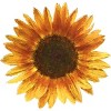 Girl's Design By Humans Sunflower By Maryedenoa T-Shirt - 2 of 3