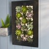 Modern Home Living Wall Galvanized Steel/Zinc Succulent Planter - 3 of 4