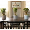 Bloem Mathers Round Resin Planter Pot Indoor and Outdoor Gardening - 4 of 4