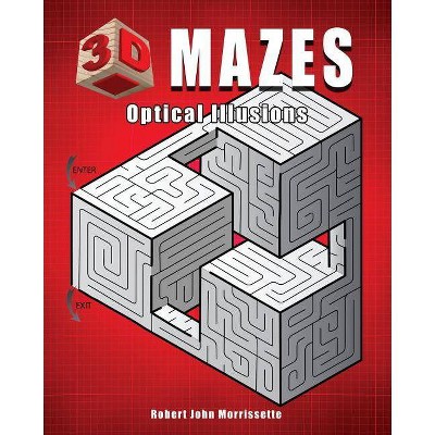 3D Mazes - by  Robert John Morrissette (Paperback)