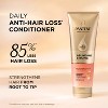 Pantene Abundant & Strong Conditioner - 8 fl oz - 2 of 4