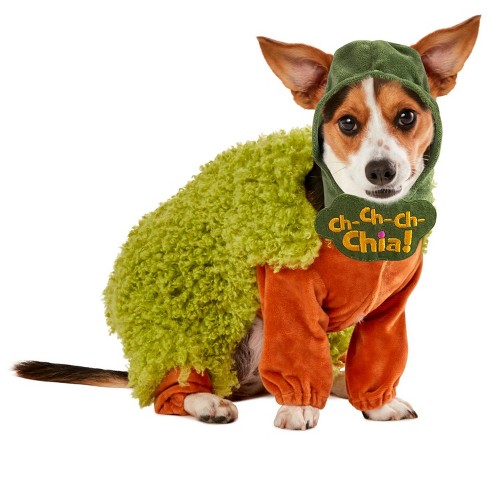 20 Newer Chia Pets You'll Actually Want to Buy
