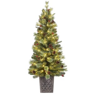 Haute Decor 4.5' Prelit Evergreen Potted Christmas Tree - 1 of 4