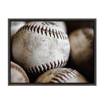 18" x 24" Sylvie Softball Close Up Framed Canvas by Shawn St. Peter Gray - DesignOvation