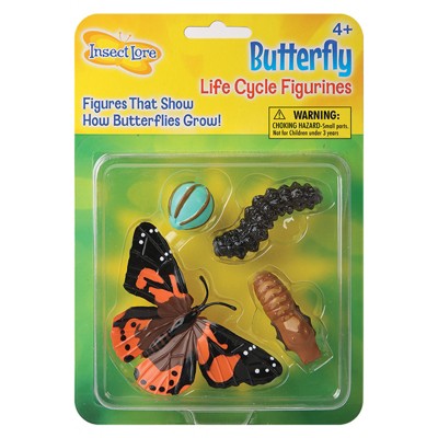Insect Lore Butterfly Life Cycle Stages