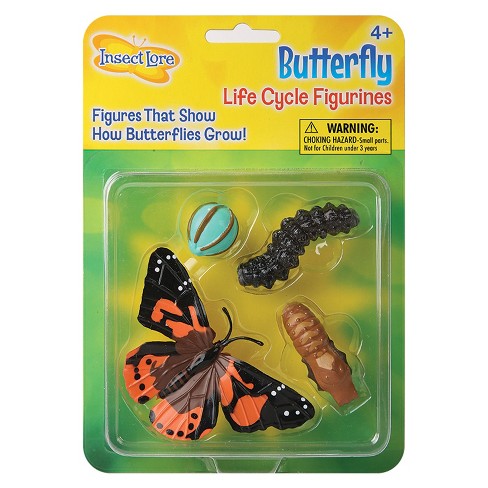 Insect Lore Butterfly Life Cycle Stages : Target