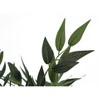 Monarch Specialties Artificial Plant 47 inch Tall Acacia Tree Indoor Faux Fake Floor Greenery Potted Silk Decorative Green Leaves Black Pot - 4 of 4