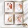 Plum & Post Coral Reef Study Set of 4 - 3 of 3