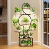 Plant Stand Indoor with Grow Light, 9 Tiered 63" Tall Indoor Plant Shelves for Multiple Plants, Large Metal Plant Shelf, Lighted Plant Stand - 3 of 4