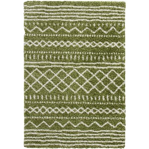 Arizona Shag ASG741 Power Loomed Indoor Rug -Safavieh - 1 of 4