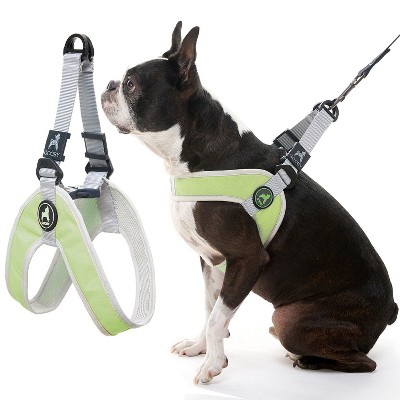 Gooby Simple Step in III Harness Green, X