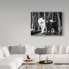 Trademark Fine Art -Rusty Frentner 'Sentinel Spirits' Canvas Art - 3 of 3