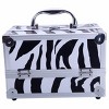 Aluminum Alloy Makeup Train Case Jewelry Organizer with Accordion Compartments for Travel and Professional Use - 2 of 4
