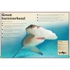 The Magnificent Book of Sharks - by  Barbara Taylor (Hardcover) - 2 of 4