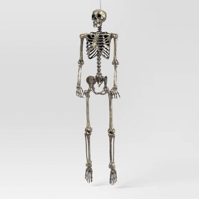 60" Poseable Skeleton Halloween Decorative Prop Champagne - Hyde and EEK! Boutique™