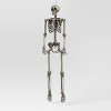 60" Poseable Skeleton Halloween Decorative Prop Shiny Champagne with Weathered Finish - Hyde and EEK! Boutique™ - 2 of 3
