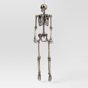 60" Poseable Skeleton Halloween Decorative Prop Champagne - Hyde and EEK! Boutique™ - 1 of 3