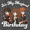 Boy's Harry Potter It’s My Magical Birthday Cute Characters T-Shirt - 2 of 4