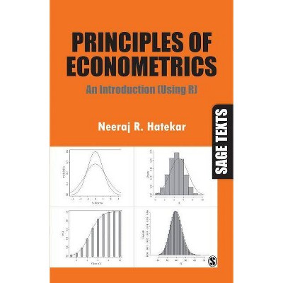 Principles of Econometrics - (Sage Texts) by  Neeraj R Hatekar (Paperback)