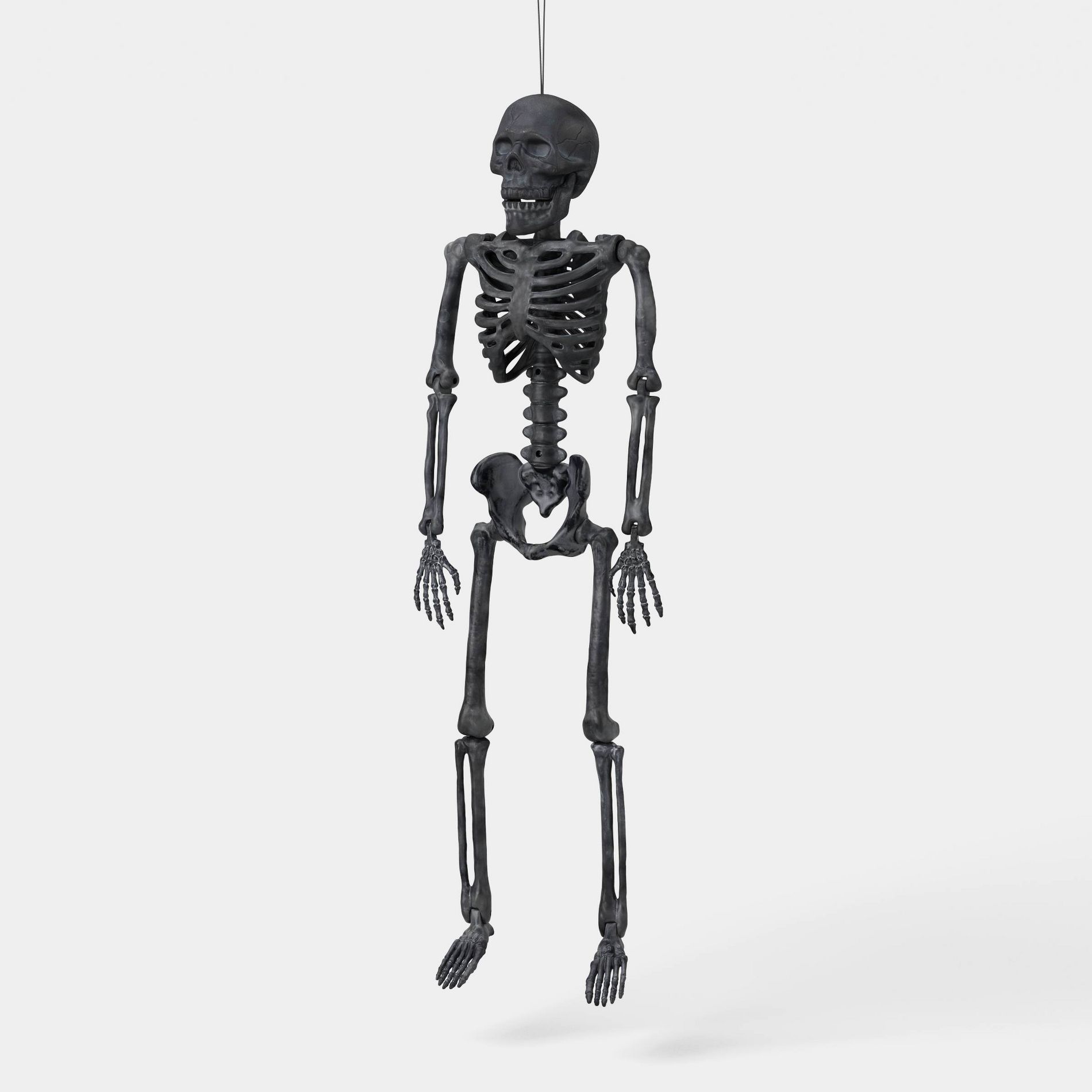 24" Small Skeleton Halloween Decorative Prop Black Terra Cotta - Hyde and EEK! Boutique™
