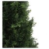 Vickerman 7' Artificial Potted Cedar Tree (UV): Indoor/Outdoor Faux Foliage, No Assembly Required - 2 of 4
