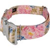 Country Brook Petz 1 1/2 Inch Premium Dog Collar Spring Collection - 2 of 4