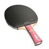 Butterfly Apolonia ZLC Pro-Line Racket + Dignics 09c + Dignics 09c - 2 of 4