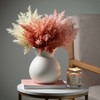 Sullivans Artificial 13" Faux Preserved Plume Bushes - Set of 3 - 3 of 4