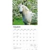 BrownTrout Horse Lovers 2026 12"x24" Hanging Square Wall Calendar Plastic-Free - 3 of 4