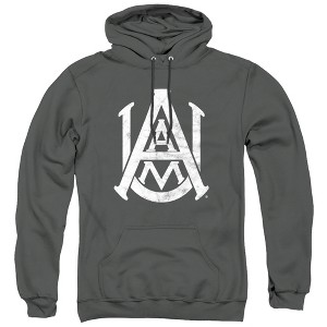 Alabama A&M University Official Distressed Primary Logo Adult Pull-Over Hoodie - 1 of 4