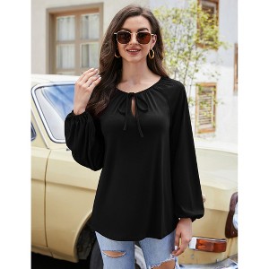 Womens Tops V Neck Long Lantern Sleeve Shirts Tunic Top Casual Loose Blouse - 1 of 4