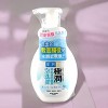 Rohto Mentholatum Hada Labo Gokujyun Super Hyaluronic Foaming Wash (5.41 oz) Hydrating Cleanse, Zero Tightness, Just Pure Moisture - 4 of 4