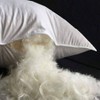 King Size Goose Down Pillow 20x36IN White for All Sleepers - 3 of 4