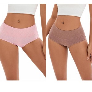 INSPIRE CHIC 2 Pcs Women's Plus Size High Waisted Tummy Control Briefs Butt Lifter Control Panties - 1 of 4
