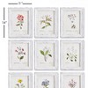 Plum & Post Garden Meadow Study, Set Of 9 - 3 of 4