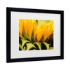 Trademark Fine Art - Mick Agterberg Close Up Details Of A Helianthus Matted Framed Art - 3 of 4