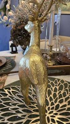 Guest review image 3 of 6, zoom in