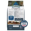 Blue Buffalo Wilderness High Protein Natural Puppy Dry Dog Food plus Wholesome Grains with Chicken - 4.5lbs - 2 of 4