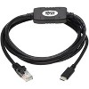 Amber Fight Gear USB-C to RJ45 Serial Rollover Cable (M/M), Connects Modem/Router/Serial Devices, Windows/macOS/Linux, 250 Kbps, 6 Ft. - 2 of 3