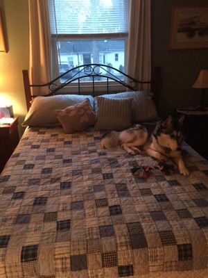 Guest review image 1 of 1, zoom in