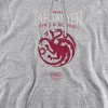 Game Of Thrones House Targaryen Sigil Adult Pull-Over Hoodie - 2 of 4