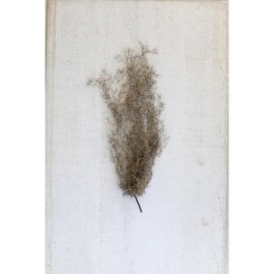 Neutral Grey Artificial Moss – 30" Tall Vase and Planter Filler by Kalalou - 1 of 3