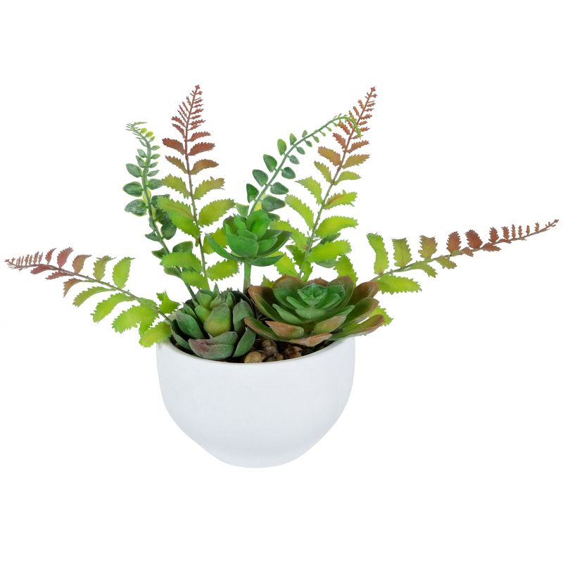 Northlight 11.5" Mixed Succulent and Fern Artificial Potted Plant - Green/White, 3 of 7