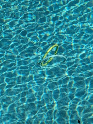 Guest review image 1 of 1, zoom in